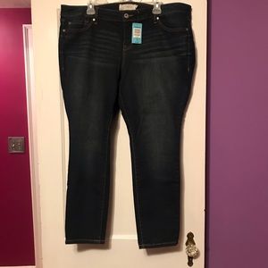 Torrid Skinny Jeans